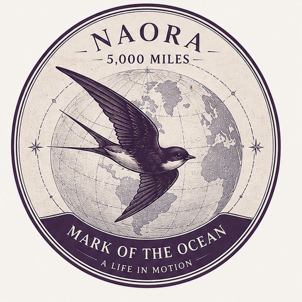 Naora 5,000 miles badge — Mark of the Ocean, reserved for the 2027 world expedition